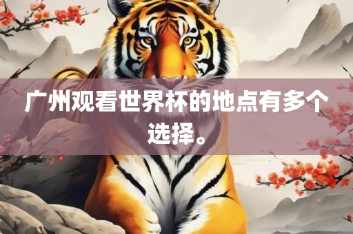 广州观看世界杯的地点有多个选择。