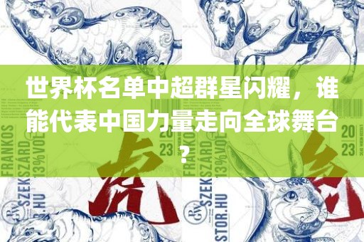 世界杯名单中超群星闪耀，谁能代表中国力量走向全球舞台？