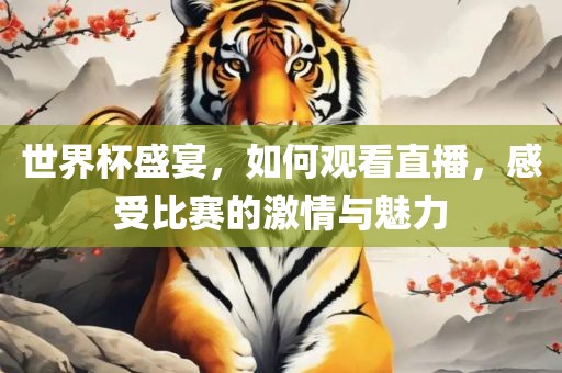 世界杯盛宴，如何观看直播，感受比赛的激情与魅力
