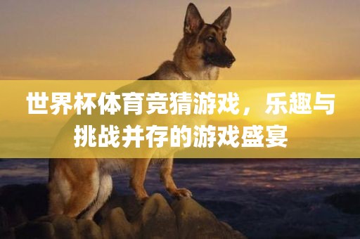 世界杯体育竞猜游戏，乐趣与挑战并存的游戏盛宴