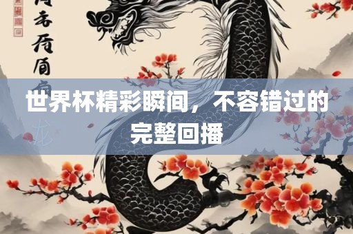 世界杯精彩瞬间，不容错过的完整回播