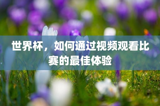 世界杯，如何通过视频观看比赛的最佳体验眉山市正发家政服务有限公司