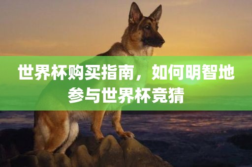 世界杯购买指南，如何明智地参与世界杯竞猜