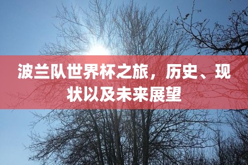 波兰队世界杯之旅，历史、现状以及未来展望