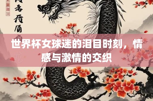 世界杯女球迷的泪目时刻，情感与激情的交织