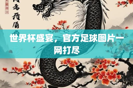 世界杯盛宴，官方足球图片一网打尽