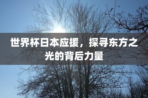 世界杯日本应援，探寻东方之光的背后力量