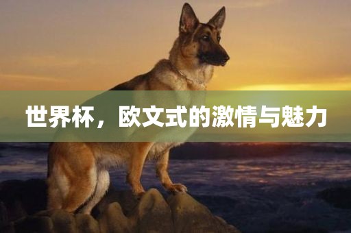 世界杯 第16页