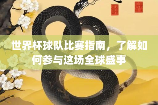 世界杯球队比赛指南，了解如何参与这场全球盛事