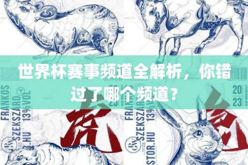 世界杯赛事频道全解析，你错过了哪个频道？