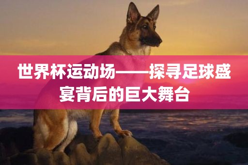 世界杯运动场——探寻足球盛宴背后的巨大舞台