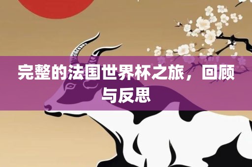 完整的法国世界杯之旅，回顾与反思
