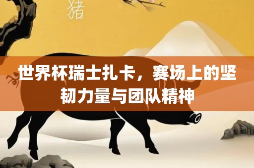 世界杯瑞士扎卡，赛场上的坚韧力量与团队精神