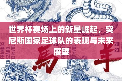 世界杯赛场上的新星崛起，突尼斯国家足球队的表现与未来展望