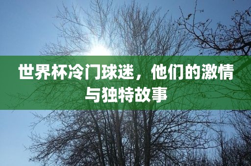 世界杯冷门球迷，他们的激情与独特故事