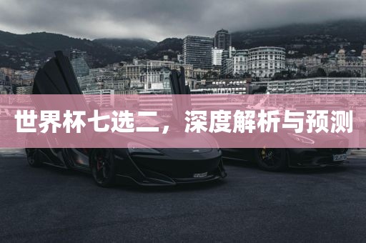 世界杯七选二，深度解析与预测