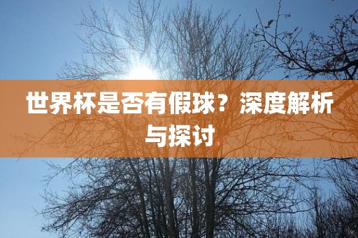 世界杯假球
