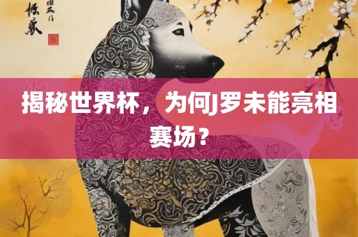 揭秘世界杯，为何J罗未能亮相赛场？眉山市正发家政服务有限公司