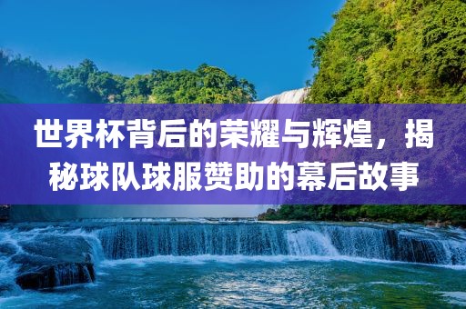 世界杯背后的荣耀与辉煌，揭秘球队球服赞助的幕后故事眉山市正发家政服务有限公司