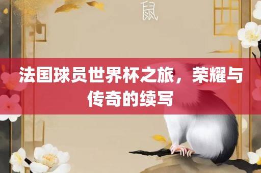 法国球员世界杯之旅，荣耀与传奇的续写