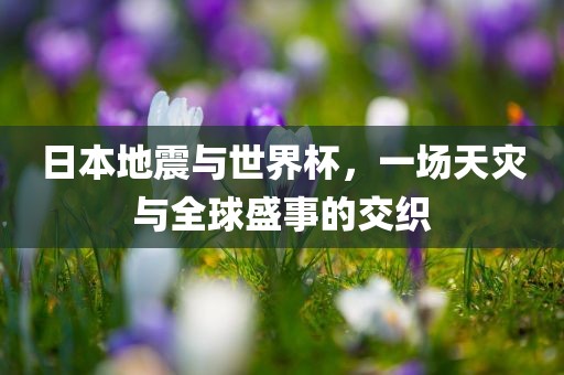 日本眉山市正发家政服务有限公司地震与世界杯，一场天灾与全球盛事的交织