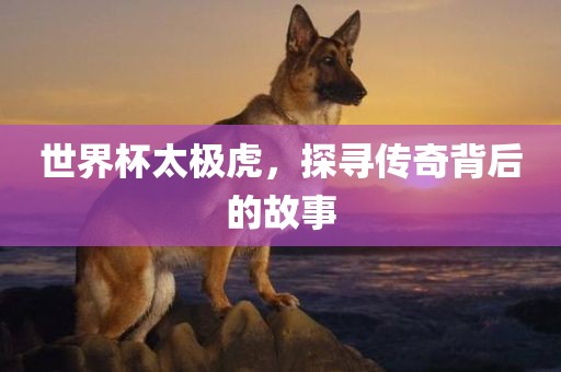 世界杯太极虎，探寻传奇背后的故事