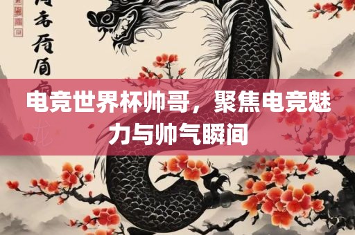电竞世界杯帅哥，聚焦电竞魅力与帅气瞬间