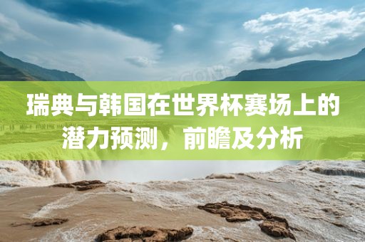 瑞典与韩国在世界杯赛场上的潜力预测，前瞻及分析眉山市正发家政服务有限公司