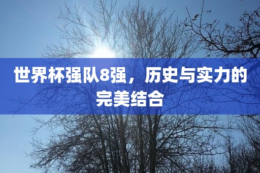 世界杯强队8强，历史与实力的完美结合