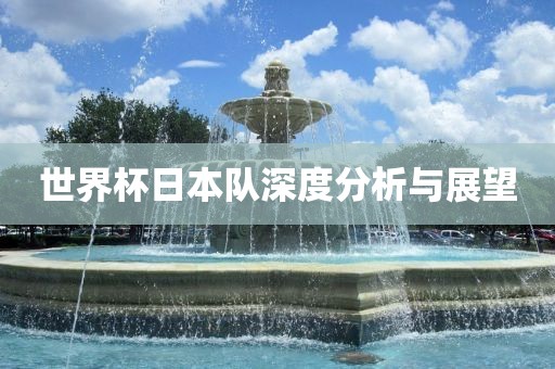 世界杯日本队深度分析与展望