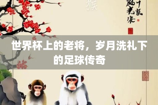 世界杯上的老将，岁月洗礼下的足球传奇