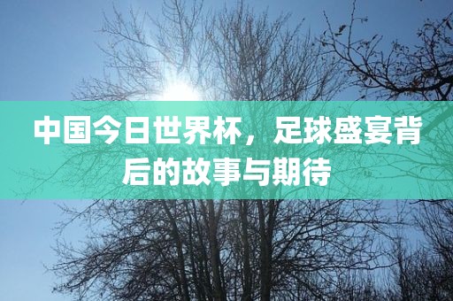 中国今日世界杯，足球盛宴背后的故事与期待眉山市正发家政服务有限公司