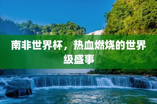 南非世界杯，热血燃烧的世界级盛事