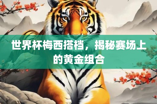 世界杯梅西搭档，揭秘赛场上的黄金组合