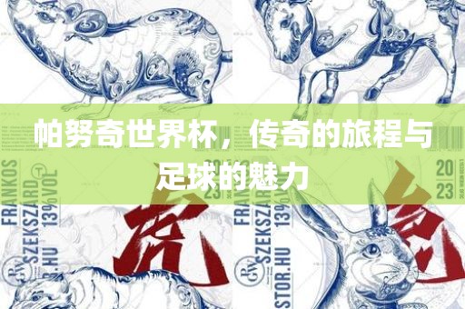 足球的魅力
