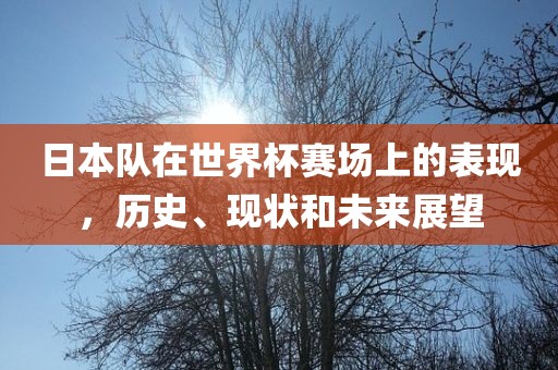 日本队在世界杯赛场上的表现，历史、现状和未来展望眉山市正发家政服务有限公司