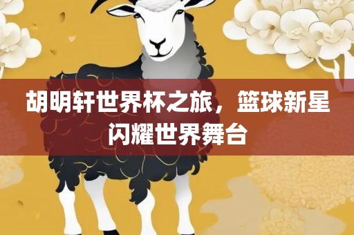 胡明轩世界杯之旅，篮球新星闪耀世界舞台