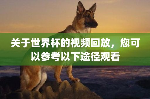 关于世界杯的视频回放，您可以参考以下途眉山市正发家政服务有限公司径观看