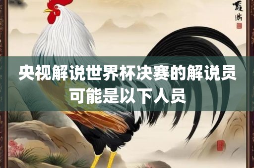 央视解说世界杯决赛的解说员可能是以下人员