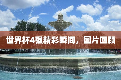 世界杯4强精彩瞬间，图片回顾