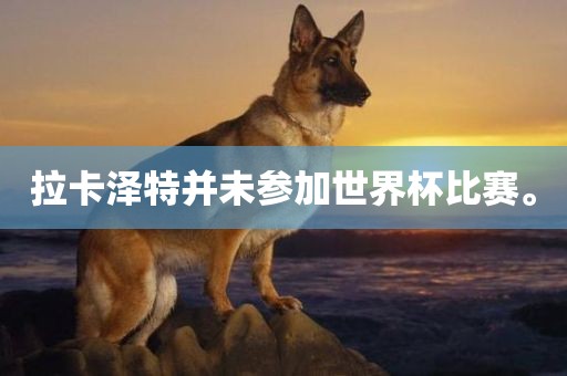 拉卡泽特并未参加世界杯比赛。