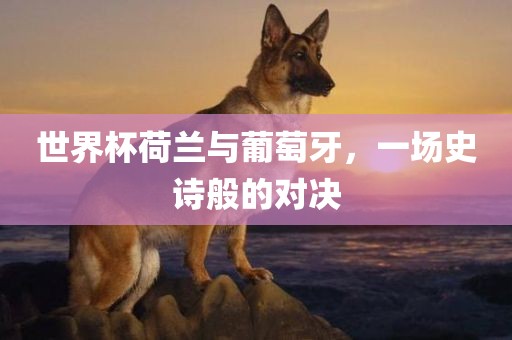 世界杯荷兰与葡萄牙，一场史诗般的对决
