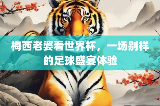 梅西老婆看世界杯，一场别样的足球盛宴体验