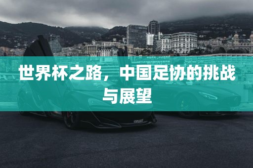 世界杯之路，中国足协的挑战与展望