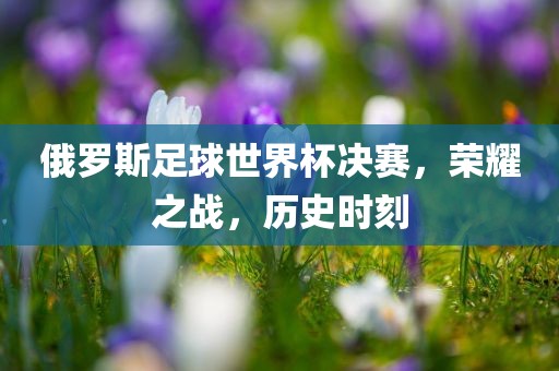 俄罗斯足球世界杯决赛，荣耀之战，历史时刻