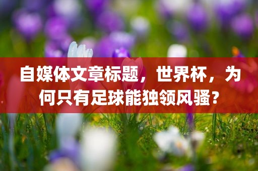 自媒体文章标题，世界杯，为何只有足球能独领风骚？