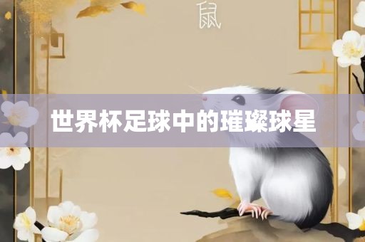 世界杯足球中的璀璨球星