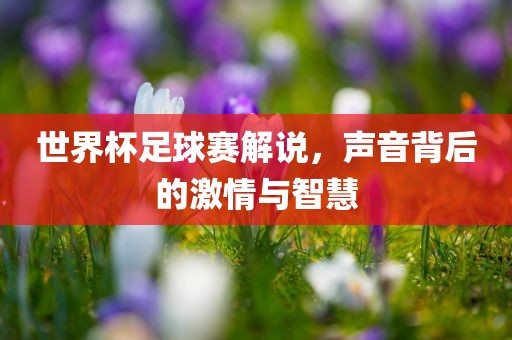 世界杯足球赛解说，声音背后的激情与智慧