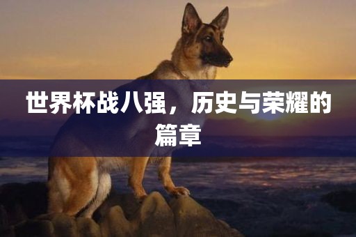 世界杯战八强，历史与荣耀的篇章