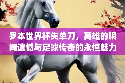 罗本世界杯失单刀，英雄的瞬间遗憾与足球传奇的永恒魅力